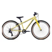 Eightshot COADY 24 SL