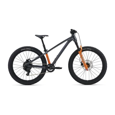 Giant STP 24