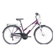 Pegasus Avanti 26-18