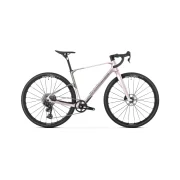 Mondraker Arid Carbon R
