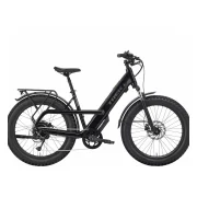 Trek Borrego+