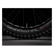 Trek Farley 5