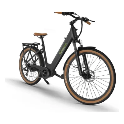 SachsenRAD C5 Centro