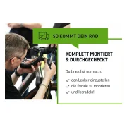 fahrradmanufaktur T-100 Sport
