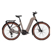 Kalkhoff Entice 5+ Advance