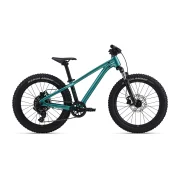 Giant STP 20 FS