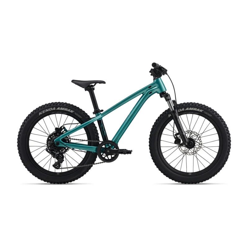 Giant STP 20 FS