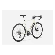 Trek Domane+ ALR 6 AXS