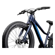 Cannondale Trail Plus