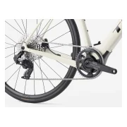 Trek Domane+ ALR 6 AXS