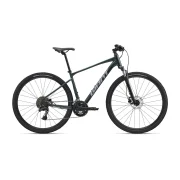 Giant Roam 2