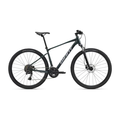 Giant Roam 2