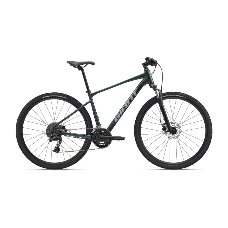 Giant Roam 2