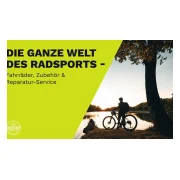 Winora Sinus FS X12