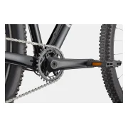 Cannondale Trail 1