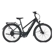 Pegasus Solero Evo 9