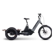 Cube Trike Flatbed Hybrid 750