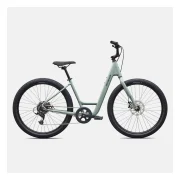 Specialized Roll 2.0 Low Entry