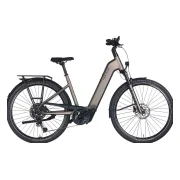 Pegasus Premio Evo 10 Lite