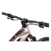 Haibike ALLMTN CF 11