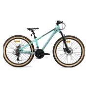 Bikestar Alu