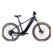 Agon Alpha Bike