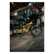 Nukeproof Mega Alloy Pro