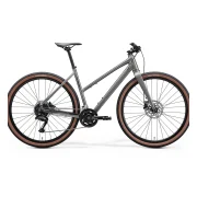 Merida SPEEDER L 200