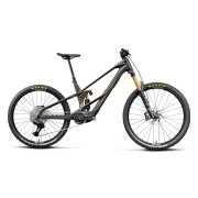 Orbea Wild LT M10 Mullet