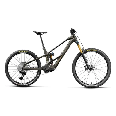 Orbea Wild LT M10 Mullet