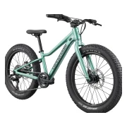 Cannondale Kids Trail Plus 20