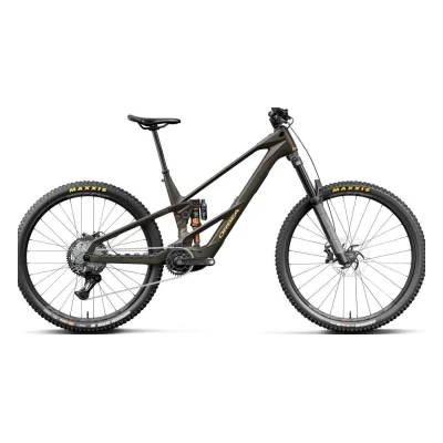 Orbea Wild LT M20