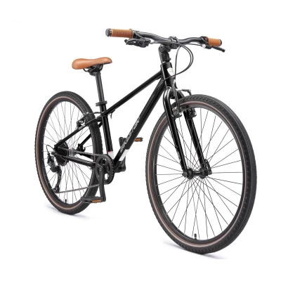 Bikestar Lightweight 10 kg