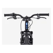 Trek Precaliber 20" 7-Speed