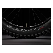 Trek Farley 9