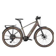 Trek FX+ 2