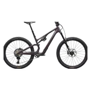 Specialized Stumpjumper 15 Evo Expert Di2
