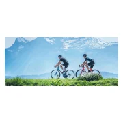 Haibike Allmnt CF 10 TRN/IQ