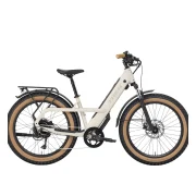 Trek Borrego+