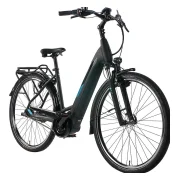 Pegasus Solero Evo 7R Plus 500