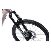 Haibike ALLMTN CF 11