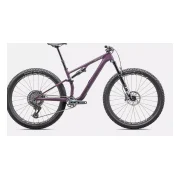Specialized Epic EVO Expert Gloss Cast Lilac Dune