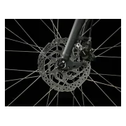 Trek Verve 3