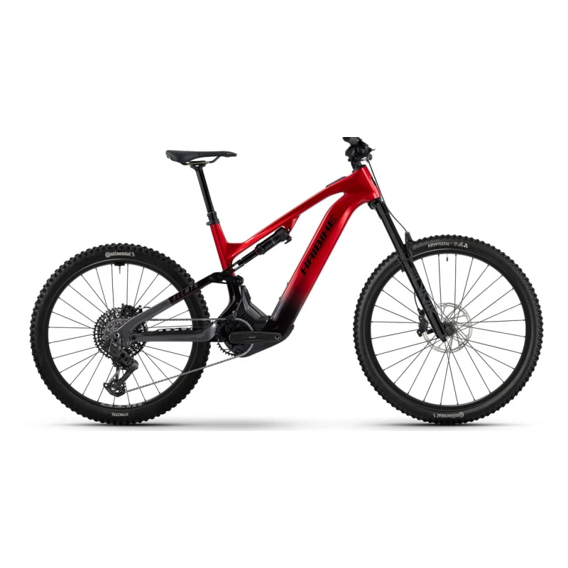 Haibike ALLMTN CF 9
