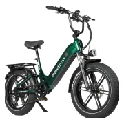 Maxtron Camel Elektrofahrrad