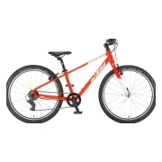 KTM Wild Cross