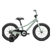 Specialized Riprock Coaster