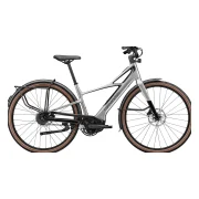 Cannondale FlyingV 1