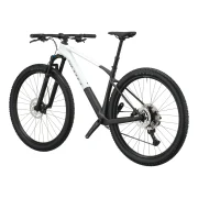 Scott Scale 10