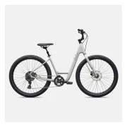 Specialized Roll 3.0 Low Entry